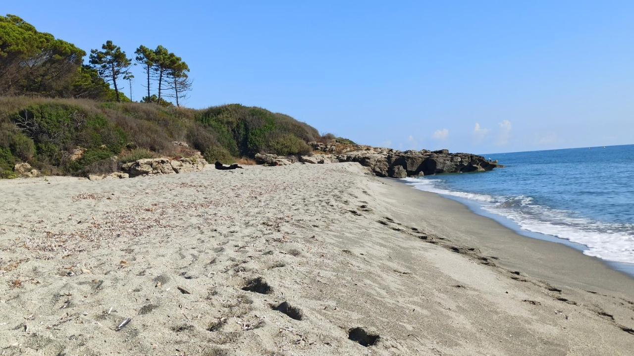 Les Jardins De La Mer Marine De Bravone - 2 Chambres A Lit Plus Sofa Avec Piscine A Cote Mer Linguizzetta Kültér fotó