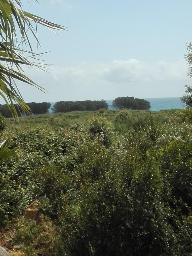 Les Jardins De La Mer Marine De Bravone - 2 Chambres A Lit Plus Sofa Avec Piscine A Cote Mer Linguizzetta Kültér fotó