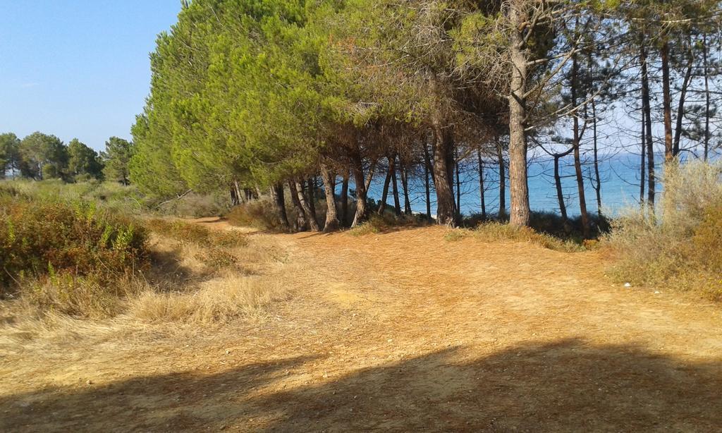 Les Jardins De La Mer Marine De Bravone - 2 Chambres A Lit Plus Sofa Avec Piscine A Cote Mer Linguizzetta Kültér fotó