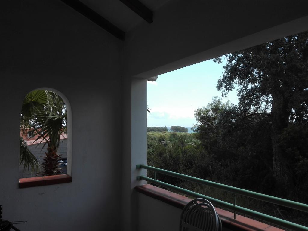 Les Jardins De La Mer Marine De Bravone - 2 Chambres A Lit Plus Sofa Avec Piscine A Cote Mer Linguizzetta Kültér fotó